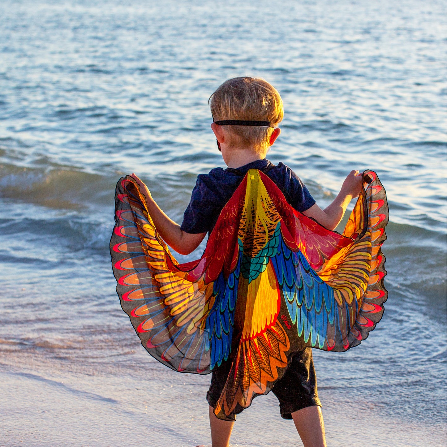 GOLDEN PHEASANT WINGS + MASK in eco-friendly cotton gift bag