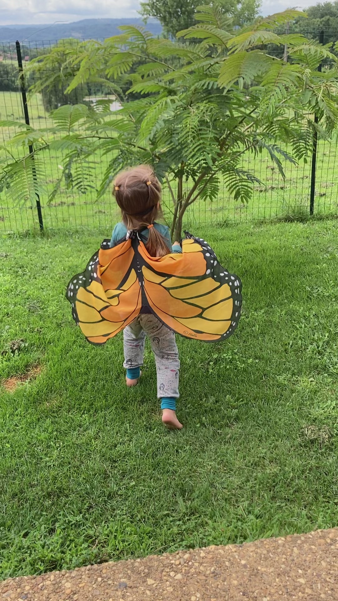 Monarch butterfly outlet dress for sale